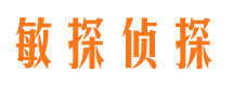 振安市私人调查